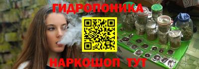 jwh Новозыбков