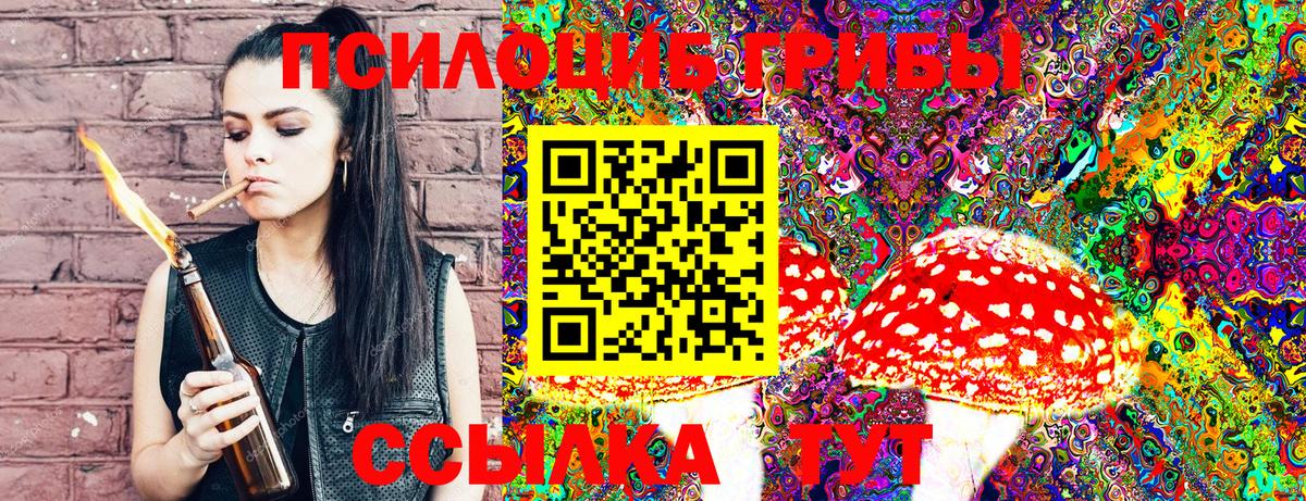 Туапсе  Псилоцибиновые грибы Psilocybine cubensis  дарнет шоп  Вход с VPN 