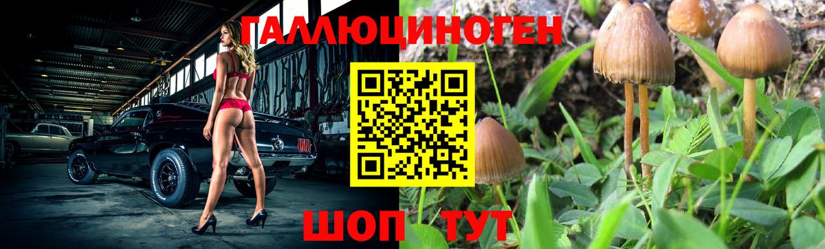Псилоцибиновые грибы мухоморы Туапсе